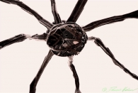 Maman 2