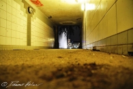 Fokus auf das Rathaus 1