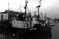 P1141475