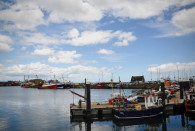 Dublin-4