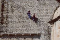 Auf der Mauer auf der Lauer