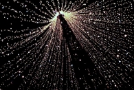 49/2012