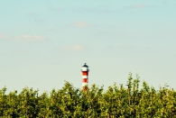 24/2013