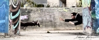 Catch me if you can