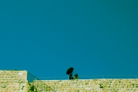 2019 - 02