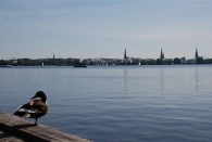 Alster