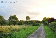 Westerwald