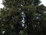 Nochmal der Stadtpark