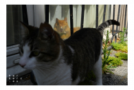 Istanbul 2021 - Corona Edition