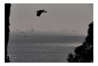 Istanbul 2022