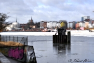 Auf der anderen Elbseite