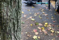 Da kommen im Frühling neue Roller auf die Straßen