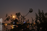 cheesymoon