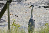 Was guckst du?