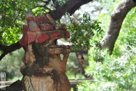 Bagan (12)