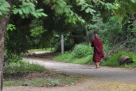 Bagan (53)
