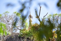 Myanmar (2629)