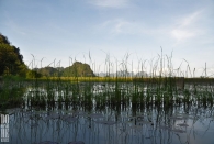 Myanmar (2804)