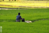 Myanmar (2817)