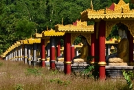 Myanmar (2645)