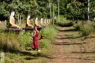 Myanmar (2830)