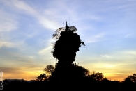 Myanmar (2982)