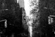 NYC-BW-2018-15
