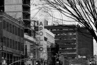 NYC-BW-2018-31