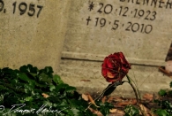 Friedhof IV
