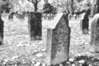 Friedhof II