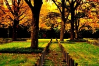Friedhof III