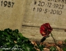 Friedhof IV