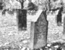 Friedhof II