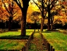 Friedhof III