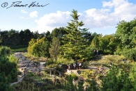 Botanischer Garten