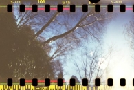 Schatten im Park