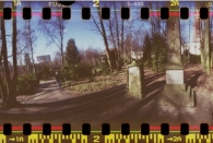 Wohlerspark
