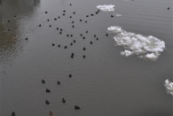 Winterfototour-02