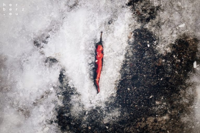 05/2021 – Hot in Cold