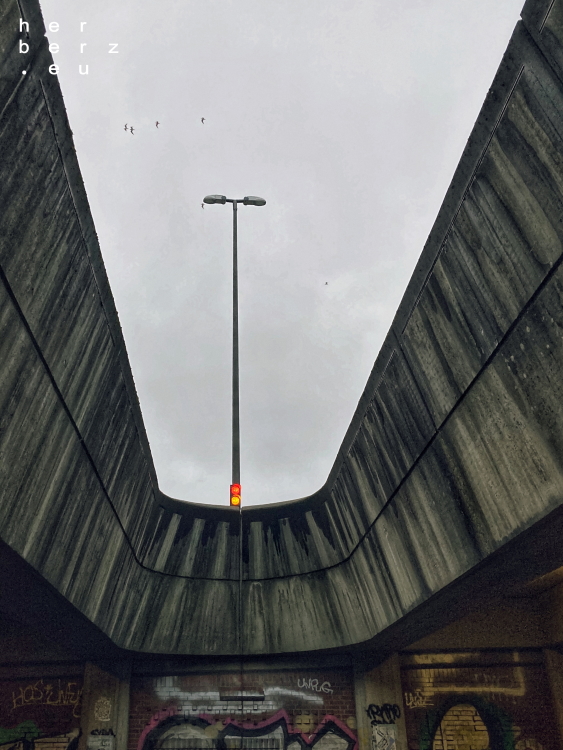 01/2021 – Ready Set … Go