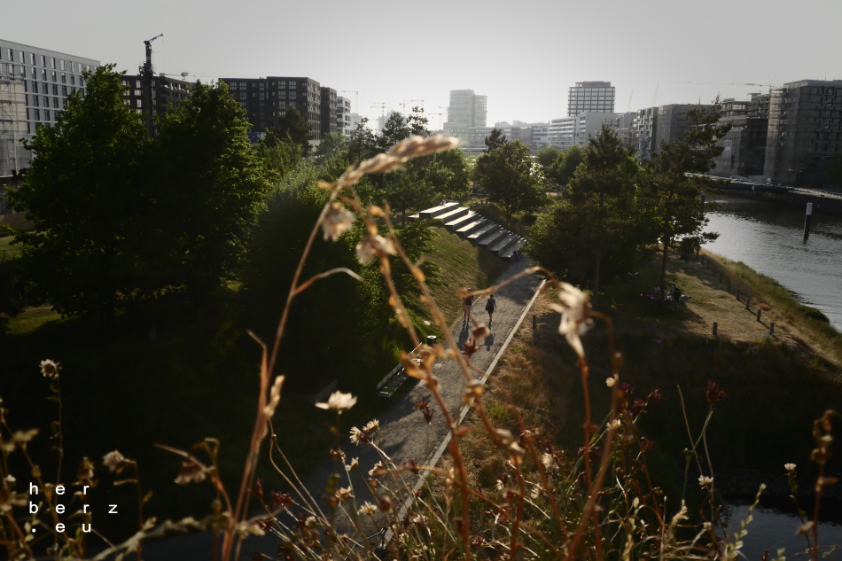 30/2021 – Gräser und Kräne