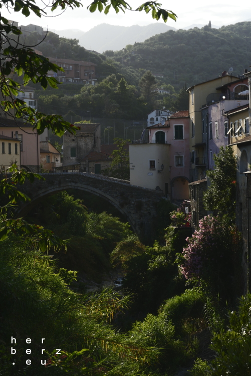 31/2021 – Dolcedo