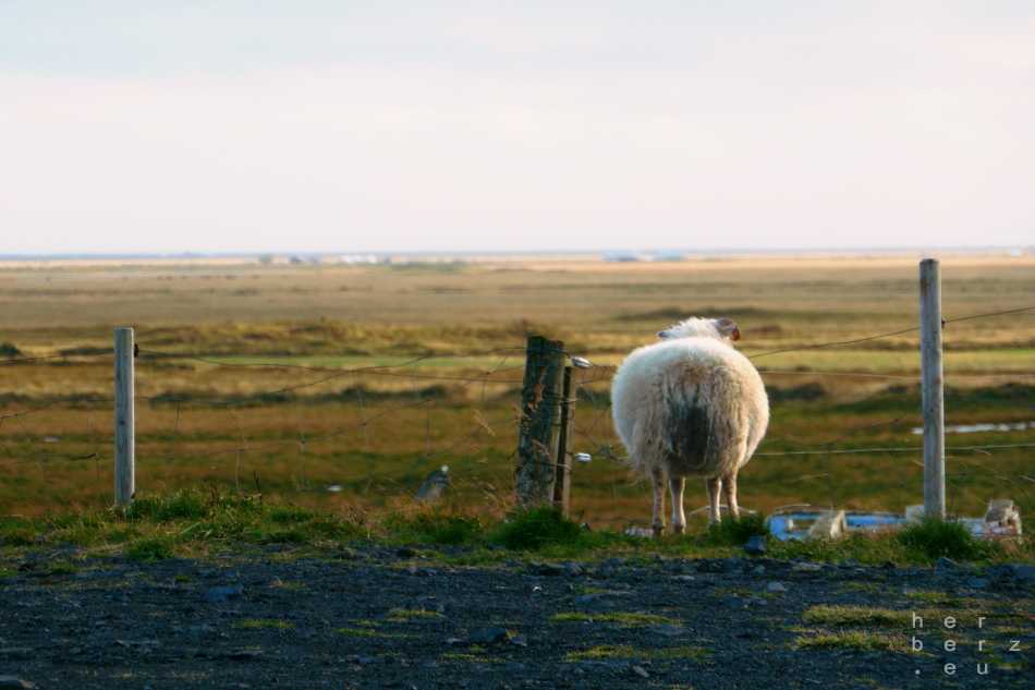 36/2022 – Looking Back