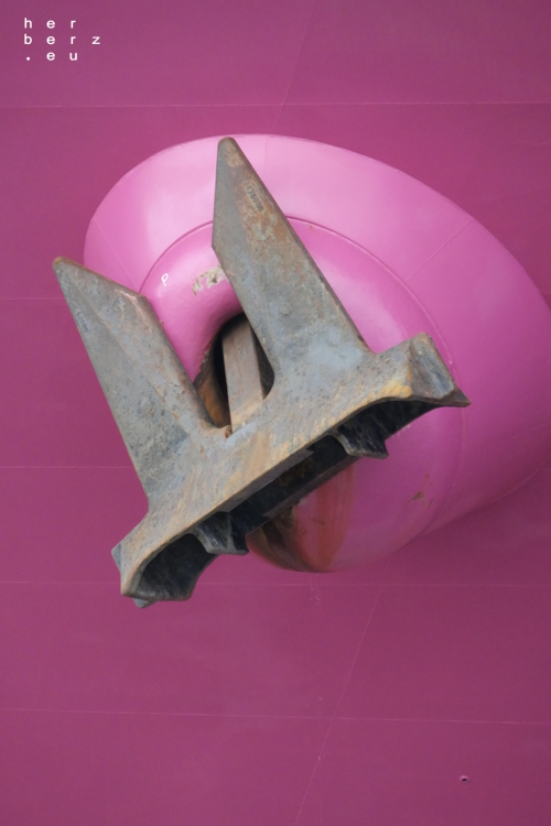 04/2023 – Pink Anker