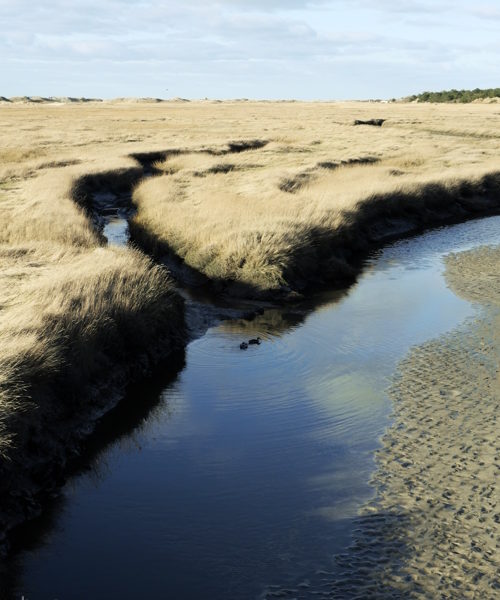 09/2023 – Priel