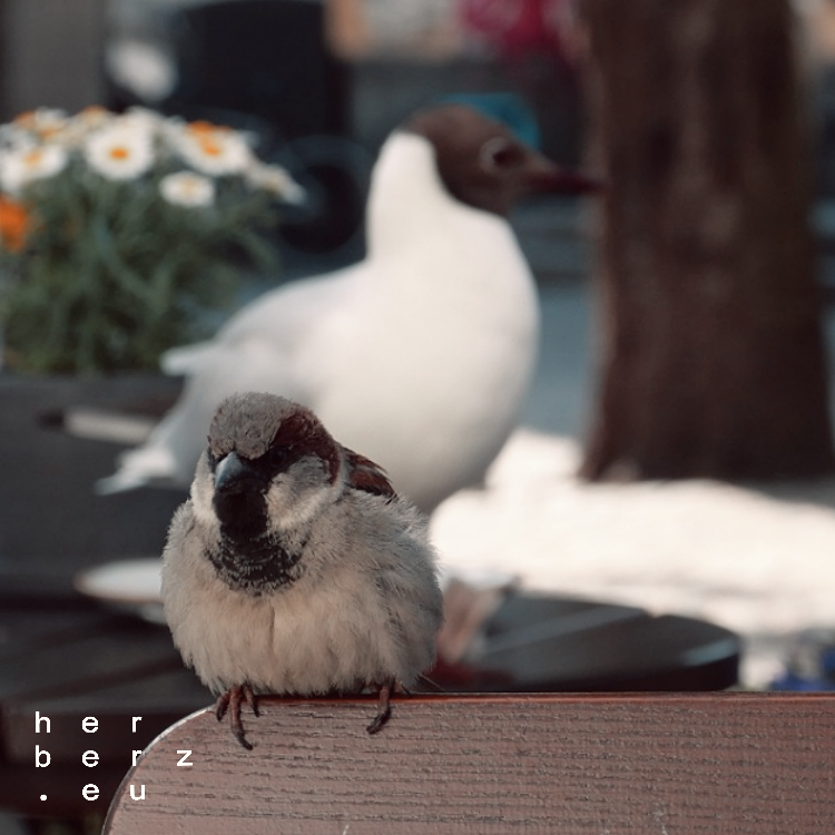 21/2023 – Bird and Bird