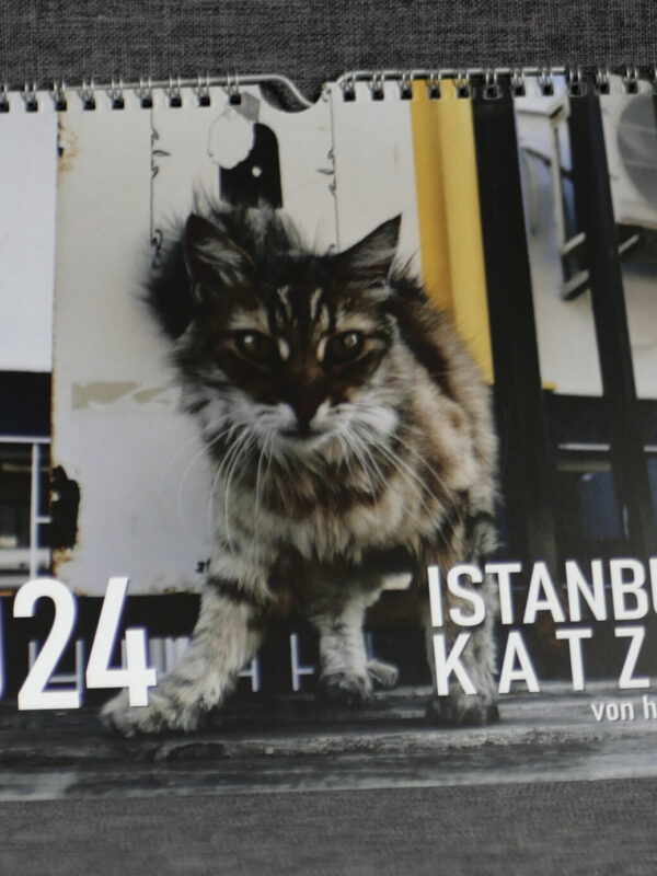 Katzenkalender 2024