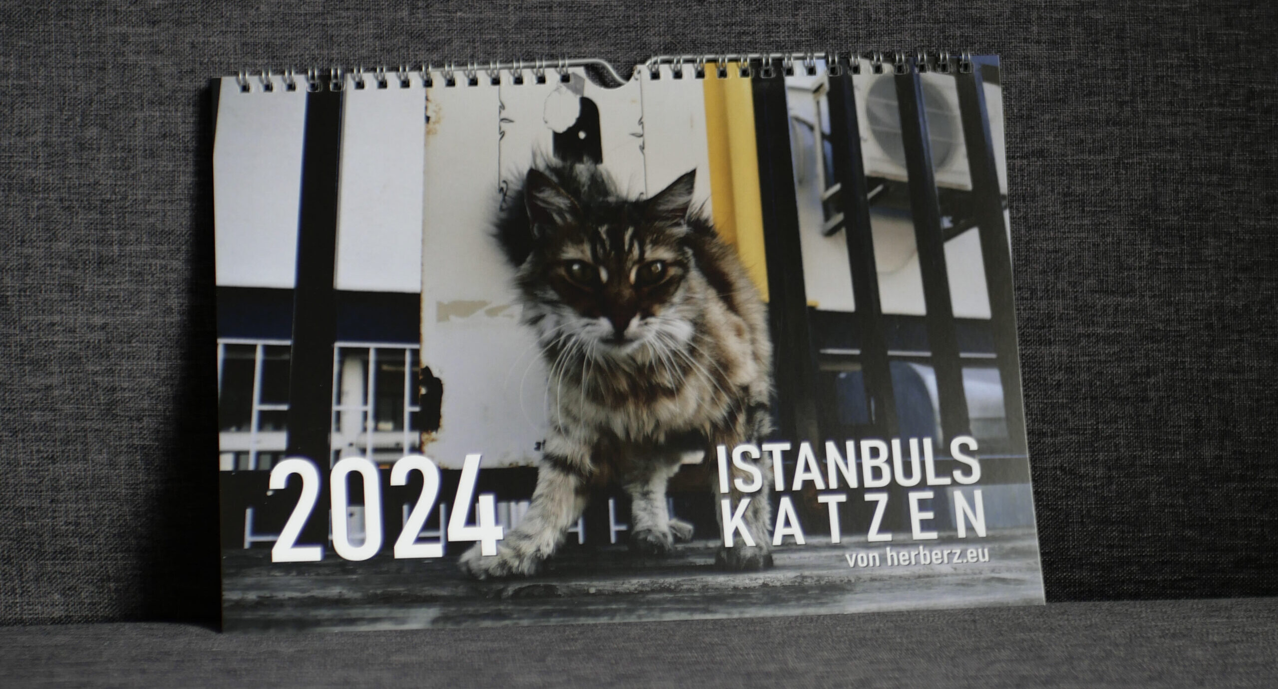 Katzenkalender 2024