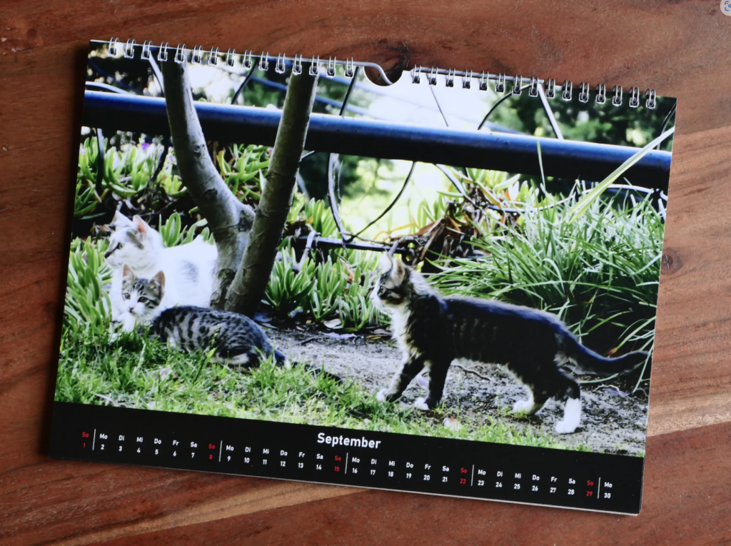 Beispielbild Kalender 1