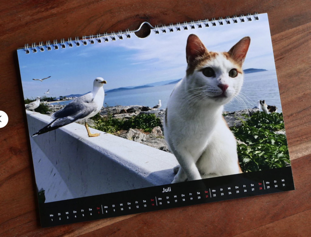 Beispielbild Kalender 2